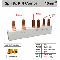 SEP Europe p12006g20 - geschikt voor aardlekschakelaar 2-polig + 2 automaten 1p+n